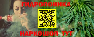 стаф Жуковский