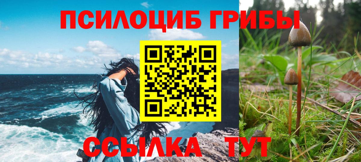 Галлюциногенные грибы прущие грибы  Вход с VPN  наркота  Воркута 